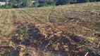 Foto 11 de Fazenda/Sítio à venda, 48000m² em Zona Rural, São Miguel do Passa Quatro