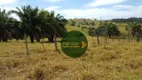 Foto 12 de Fazenda/Sítio à venda, 13310000m² em Zona Rural , Morrinhos