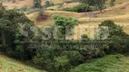 Foto 21 de Fazenda/Sítio com 3 Quartos à venda, 280m² em , Cambuí