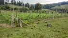 Foto 36 de Fazenda/Sítio com 3 Quartos à venda, 18m² em Rio de Traz, Pouso Redondo