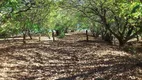 Foto 6 de Ponta das Castanheiras Loteamento Fechado em Zona Rural, Piracaia