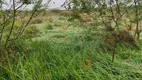 Foto 10 de Fazenda/Sítio com 3 Quartos à venda, 150000m² em Centro, Lagoa de Pedras