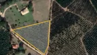 Foto 2 de Lote/Terreno com 1 Quarto à venda, 4000m² em Centro, Bueno Brandão