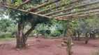 Foto 11 de Fazenda/Sítio com 3 Quartos à venda, 350m² em Zona Rural, Uberlândia