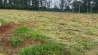 Foto 2 de Lote/Terreno à venda, 250m² em Colinas do Castelo, Jaguariúna