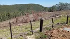 Foto 15 de Fazenda/Sítio com 3 Quartos à venda, 150m² em Zona Rural, Piedade