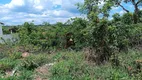 Foto 2 de Fazenda/Sítio com 1 Quarto à venda, 5000m² em Esmeraldas, Esmeraldas