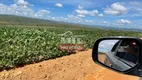 Foto 15 de Fazenda/Sítio à venda em Zona Rural, Água Fria de Goiás