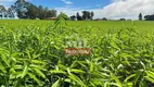 Foto 6 de Fazenda/Sítio à venda, 3000m² em Zona Rural, Chapadão do Céu