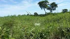 Foto 11 de Fazenda/Sítio à venda, 15900000m² em Zona Rural, Acorizal