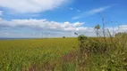 Foto 9 de Fazenda/Sítio com 7 Quartos à venda, 707m² em , Campo Alegre de Goiás