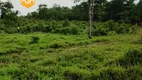 Foto 7 de Fazenda/Sítio à venda, 130000m² em , Paraíso do Tocantins