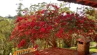 Foto 4 de Fazenda/Sítio com 4 Quartos à venda, 400m² em Ipelândia, Suzano