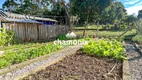 Foto 22 de Fazenda/Sítio com 4 Quartos à venda, 140m² em , Flores da Cunha