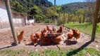 Foto 16 de Fazenda/Sítio com 3 Quartos à venda, 211m² em Campo Limpo, Teresópolis