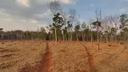 Foto 8 de Fazenda/Sítio à venda, 55875m² em Area Rural de Goiania, Goiânia