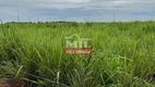 Foto 18 de Fazenda/Sítio à venda em Zona Rural, Porangatu