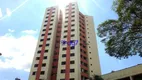 Foto 28 de Apartamento com 2 Quartos para alugar, 65m² em Vila Indiana, São Paulo