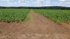 Foto 19 de Fazenda/Sítio com 4 Quartos à venda, 200m² em Zona Rural, Angatuba