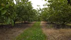 Foto 12 de Fazenda/Sítio com 2 Quartos à venda, 400m² em Saltinho, Elias Fausto