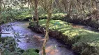 Foto 11 de Fazenda/Sítio à venda, 10000m² em , São Francisco de Paula