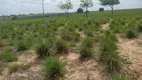 Foto 20 de Fazenda/Sítio à venda, 110m² em Ponta Negra, Natal