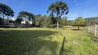 Foto 2 de Lote/Terreno à venda, 4766m² em Pinheirinho, Curitiba