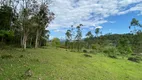 Foto 3 de Fazenda/Sítio à venda, 38000m² em Pomerode Fundos, Pomerode