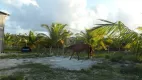 Foto 10 de Fazenda/Sítio à venda, 260000m² em , Pirambu