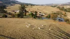 Foto 7 de Fazenda/Sítio com 3 Quartos à venda, 100m² em Zona Rural, Jacutinga