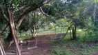 Foto 21 de Fazenda/Sítio com 4 Quartos à venda, 350m² em Campos Eliseos, Abadia de Goiás