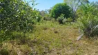 Foto 8 de Fazenda/Sítio à venda, 15000000m² em Centro, São Félix do Araguaia