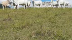 Foto 91 de Fazenda/Sítio com 3 Quartos à venda, 1790000m² em Zona Rural, Natividade da Serra