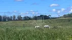 Foto 5 de Fazenda/Sítio com 2 Quartos à venda, 1000m² em Fazendinha, Araruama