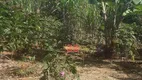 Foto 18 de Fazenda/Sítio com 3 Quartos à venda, 170m² em Zona Rural, Morungaba