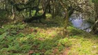 Foto 5 de Lote/Terreno à venda em Vacas Gordas, Urubici