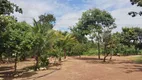 Foto 19 de Fazenda/Sítio com 3 Quartos à venda, 20000m² em Setor Sul, Brasília