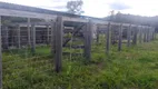 Foto 6 de Fazenda/Sítio com 2 Quartos à venda, 73m² em Zona Rural, Colinas do Sul