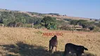 Foto 11 de Fazenda/Sítio à venda, 500m² em Area Rural de Guaimbe, Guaimbê