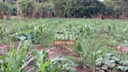 Foto 6 de Fazenda/Sítio à venda em Zona Rural, Doverlândia