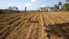 Foto 14 de Fazenda/Sítio com 4 Quartos à venda, 300m² em Godinhos, Piedade