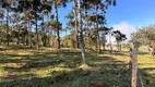 Foto 23 de Lote/Terreno à venda, 20000m² em Aguas Brancas, Urubici