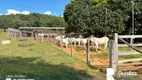 Foto 10 de Fazenda/Sítio à venda, 137m² em Zona Rural, Gurupi