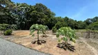 Foto 11 de Fazenda/Sítio com 3 Quartos à venda, 190m² em , São Francisco do Sul