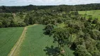 Foto 10 de Fazenda/Sítio à venda, 30000m² em Centro, Campo Alegre