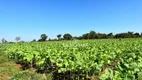 Foto 16 de Fazenda/Sítio com 6 Quartos à venda, 1200m² em RANCHO TRÊS LAGOAS, Igarapé