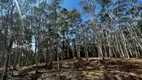 Foto 12 de Lote/Terreno à venda, 14000m² em Centro, São Lourenço da Serra