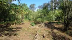 Foto 11 de Fazenda/Sítio com 3 Quartos à venda, 10000m² em Campininha, Cesário Lange