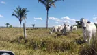 Foto 15 de Fazenda/Sítio com 3 Quartos à venda, 70m² em Zona Rural, Araguaína