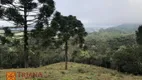 Foto 10 de Lote/Terreno à venda, 120000m² em , Rio Rufino